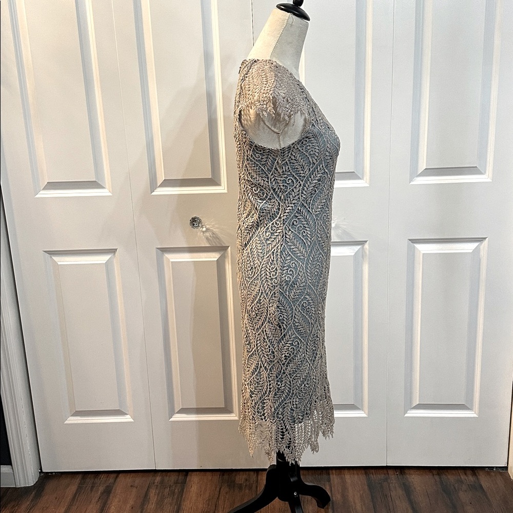 Elegant Lace Dress - Picture 3 of 6